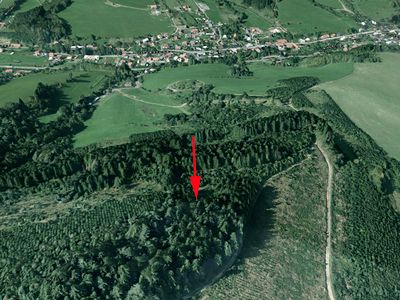 Prodej lesa 1205 m²