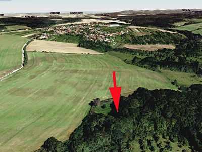 Prodej lesa 9823 m²
