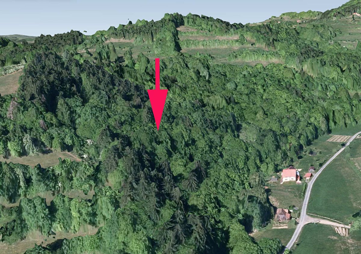Prodej lesa 5661 m²