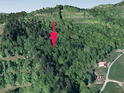 Prodej lesa 5661 m²