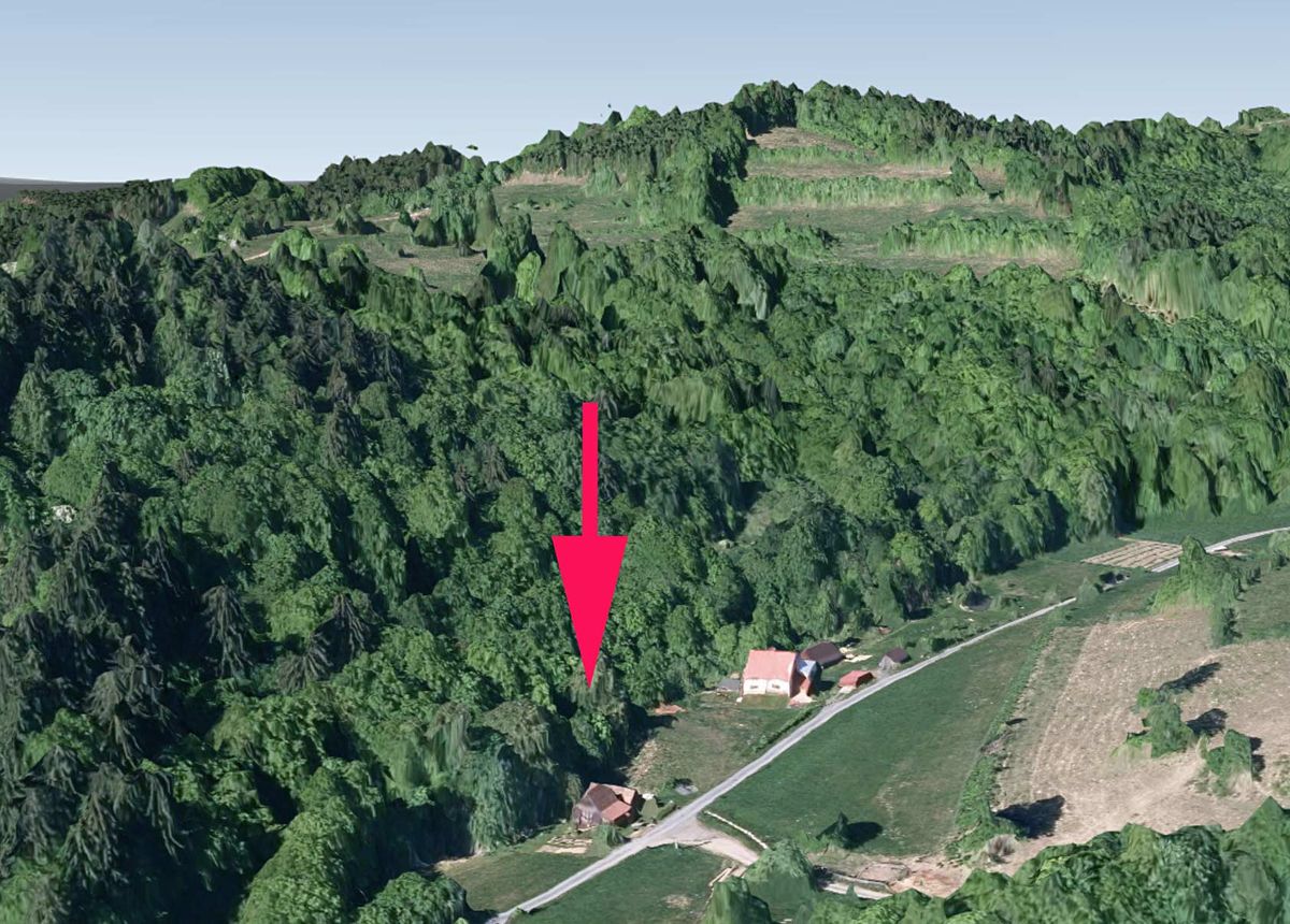 Prodej lesa 4913 m²