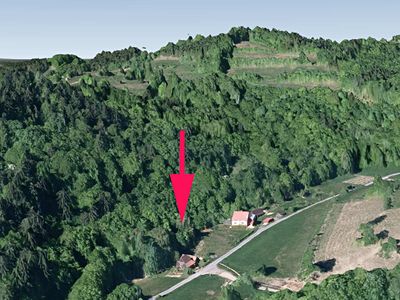 Prodej lesa 4913 m²