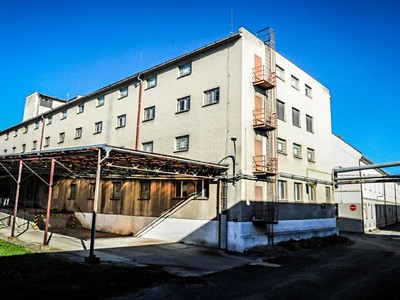 Gewerbefläche zur Miete, 2.800 m² (2 von 7)