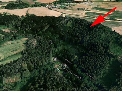 Prodej lesa 21827 m²