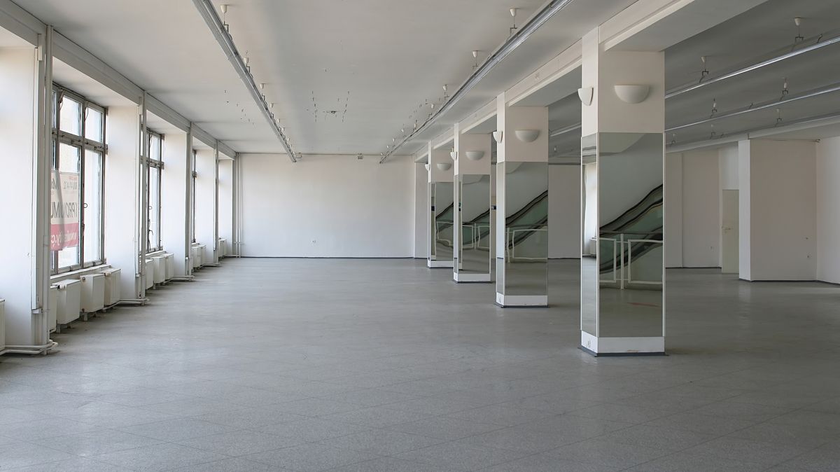 Pronájem obchodního prostoru 420 m² – fotografie 3