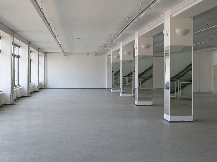 Pronájem komerčního prostoru, 420 m² (3 z 3)