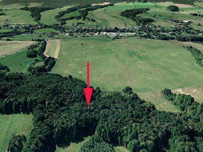 Prodej lesa 2051 m²