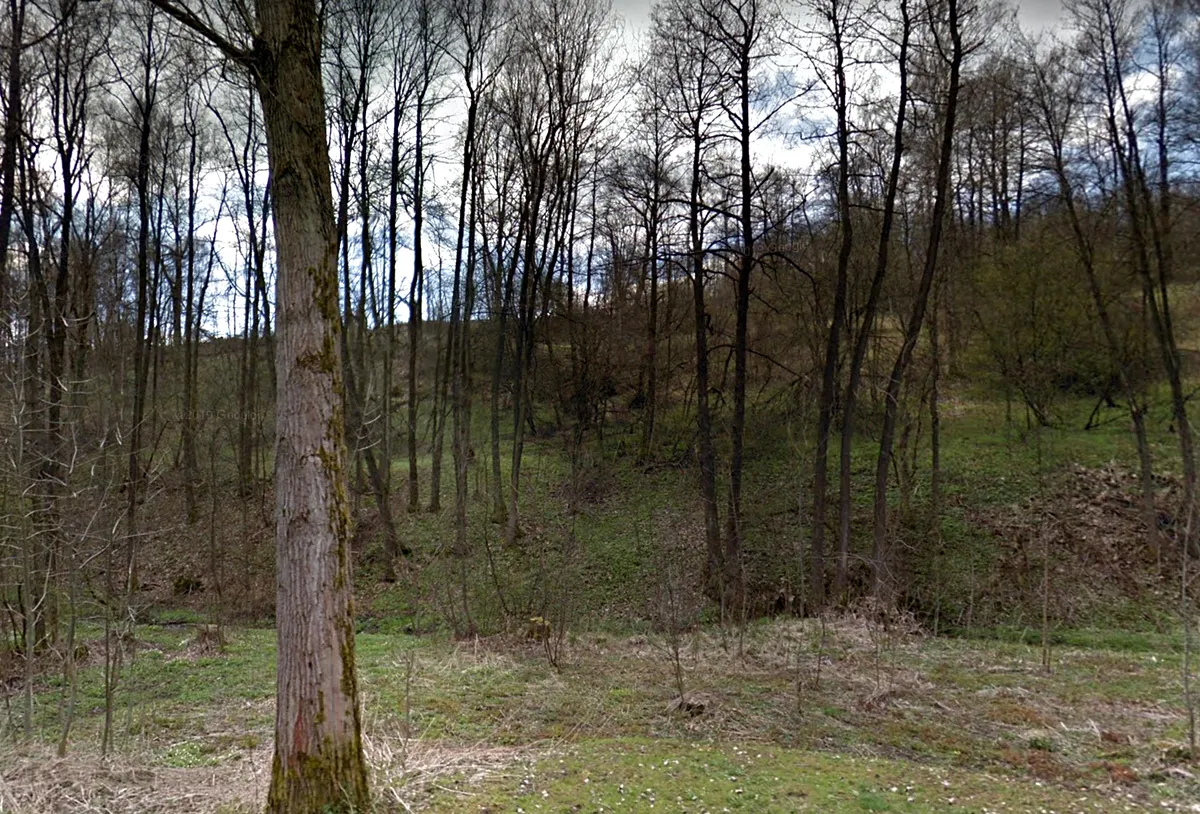 Prodej louky 3170 m²