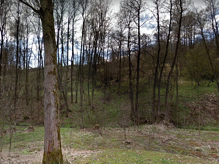 Prodej pozemku, 3 170 m² (1 z 4)