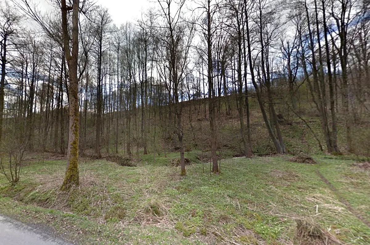 Prodej louky 2797 m²