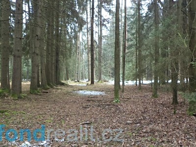 Realitní kancelář české budějovice