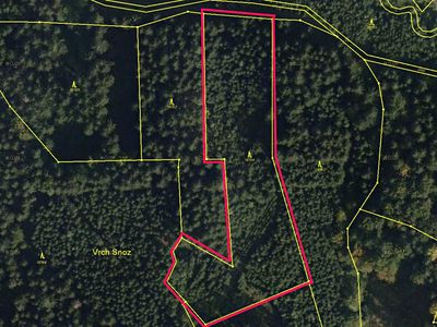 Prodej lesa 11334 m²