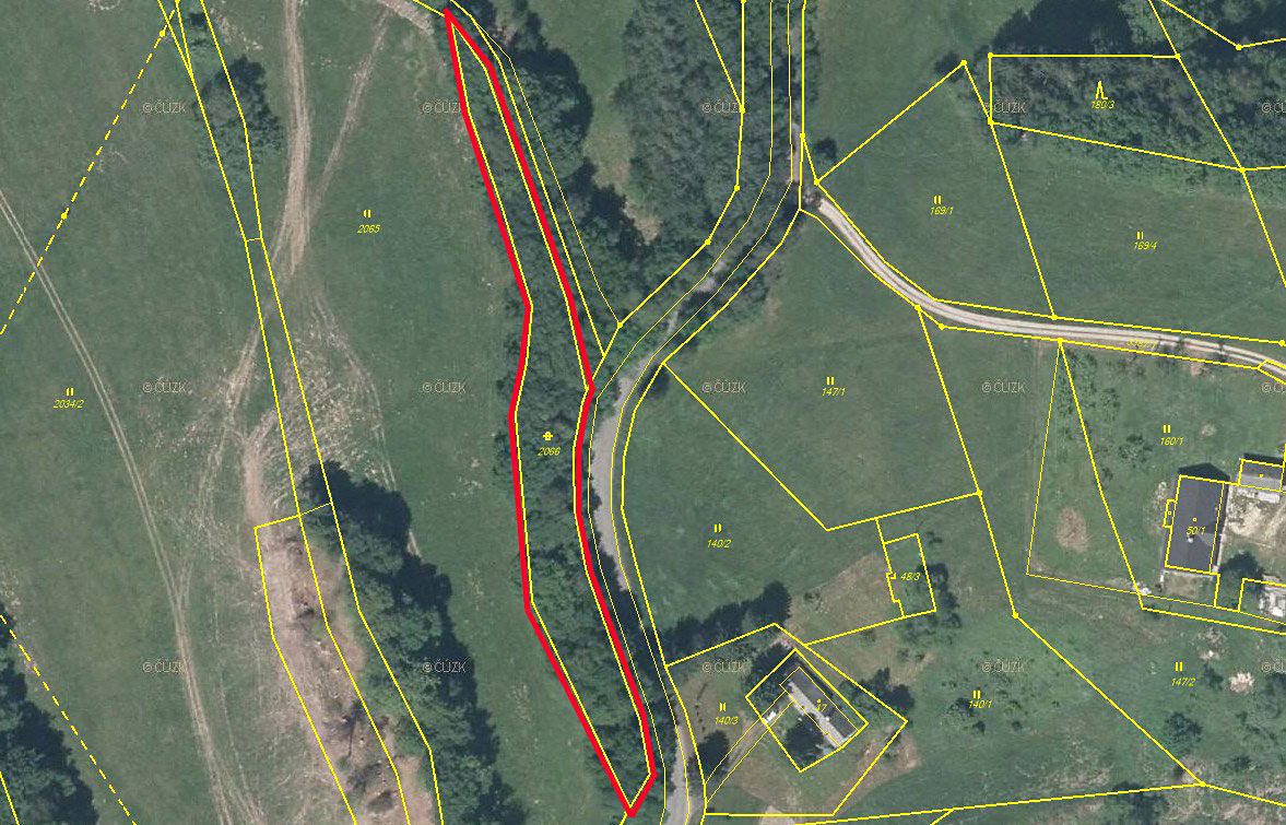 Prodej lesa 2000 m² – fotografie 3