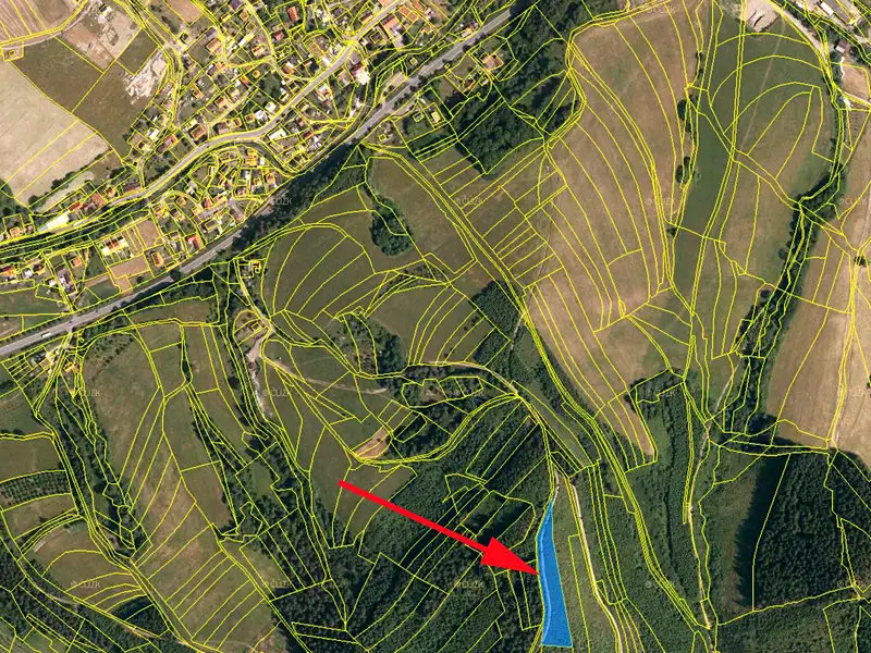 Prodej lesa 5445 m², Lhota u Vsetína – náhled fotky 2
