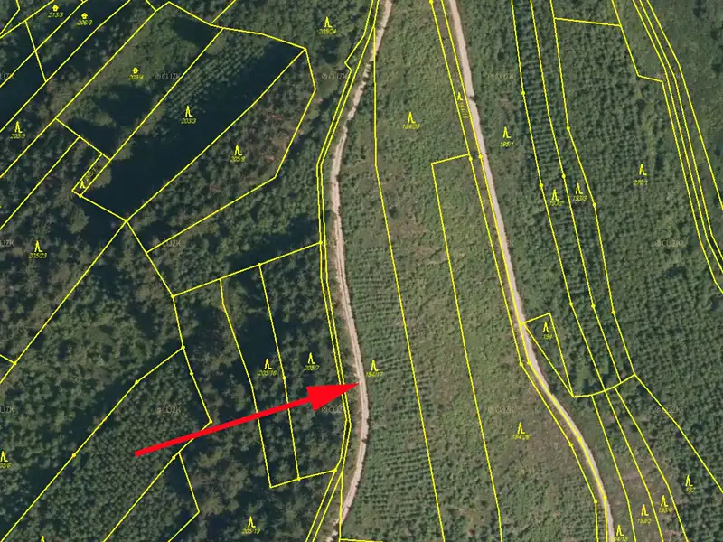 Prodej lesa 5445 m², Lhota u Vsetína – náhled fotky 3