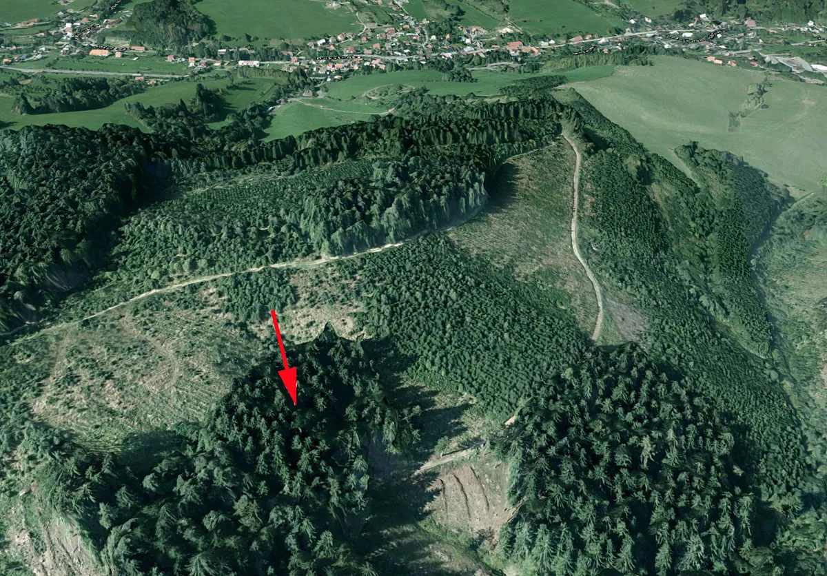 Prodej lesa 4855 m²