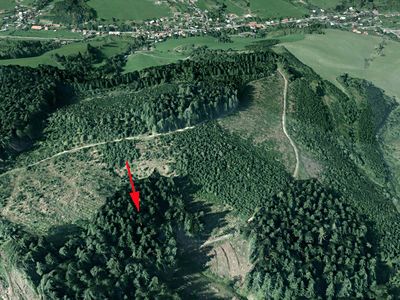 Prodej lesa 4855 m²