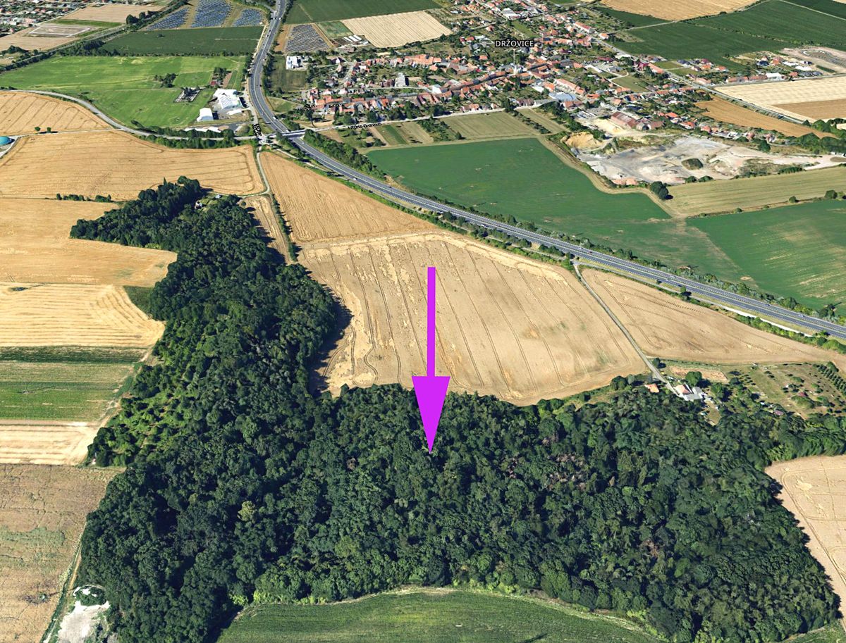 Prodej lesa 4332 m²