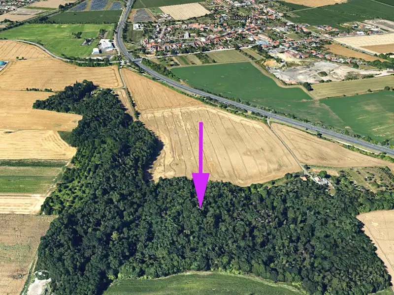 Prodej lesa 4332 m², Držovice – náhled fotky 1