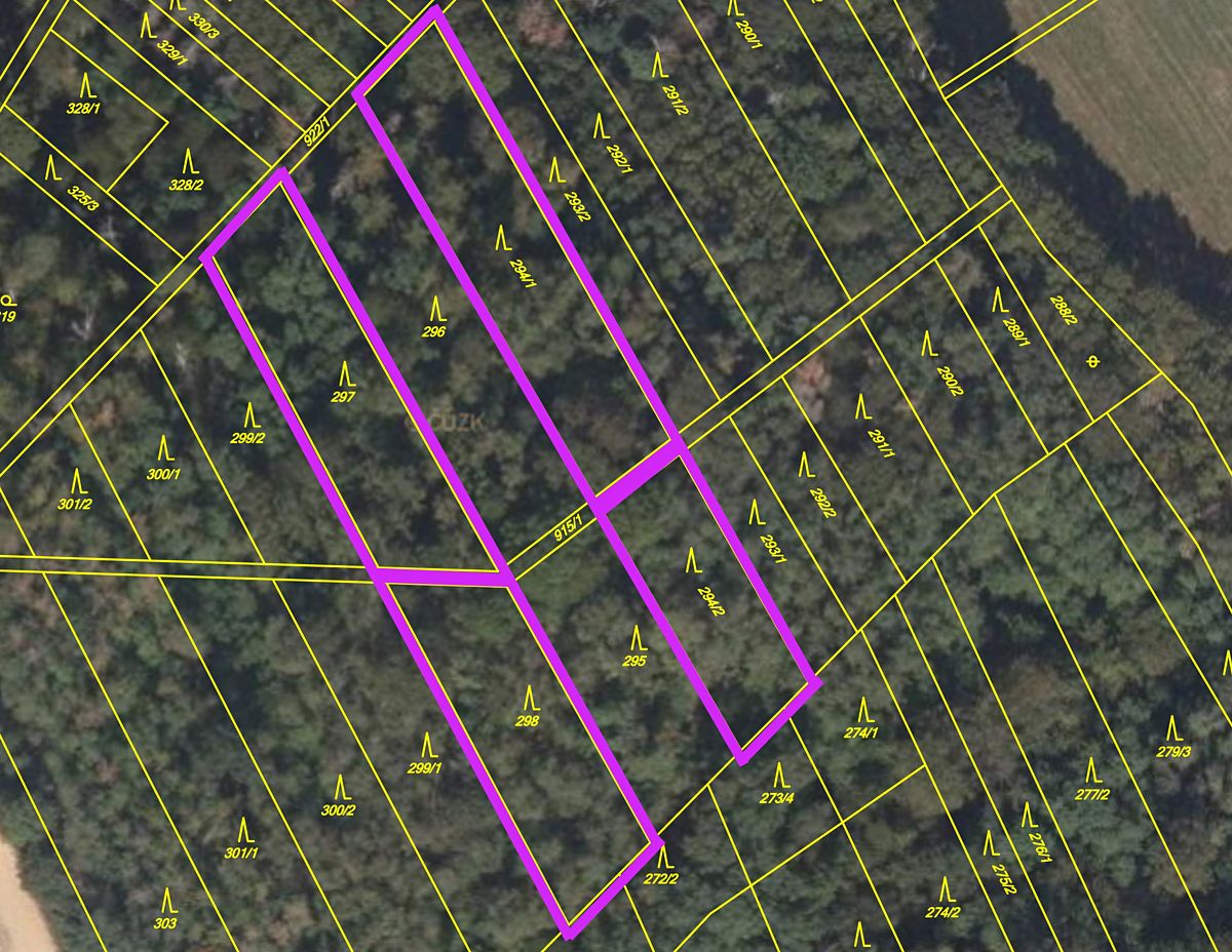 Prodej lesa 4332 m² – fotografie 2