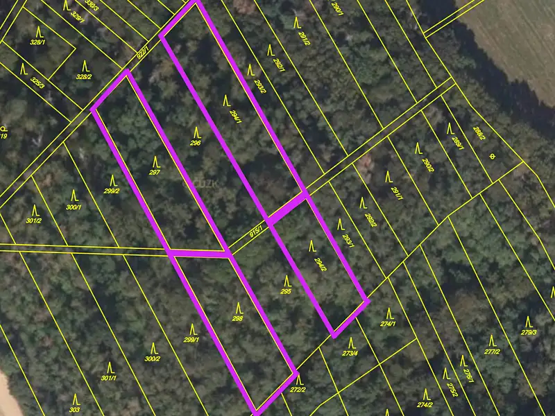 Prodej lesa 4332 m², Držovice – náhled fotky 2