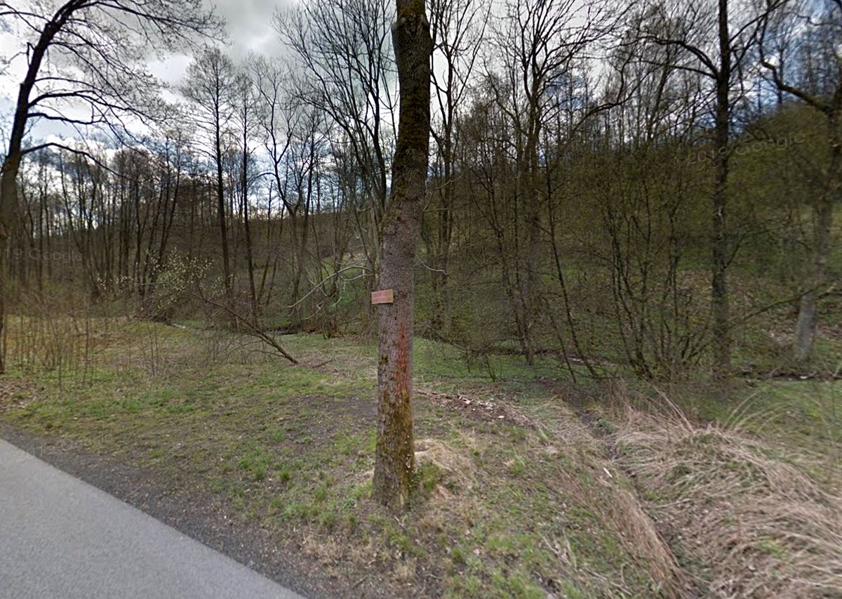 Prodej louky 3161 m²