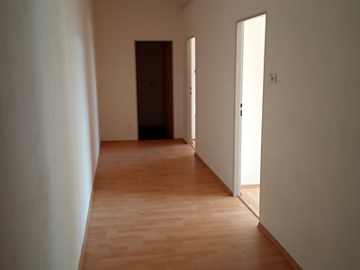 česká