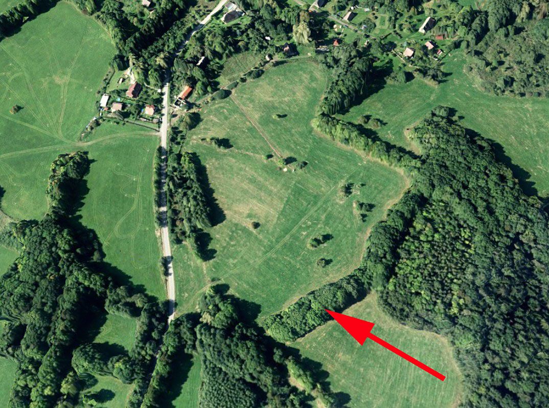 Prodej lesa 1713 m²