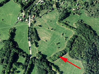 Prodej lesa 1713 m²