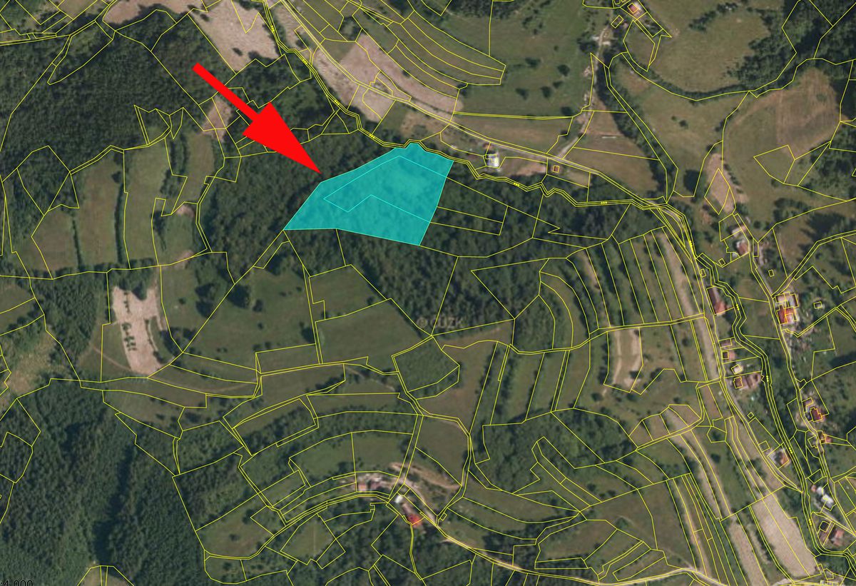 Prodej lesa 13656 m² – fotografie 2