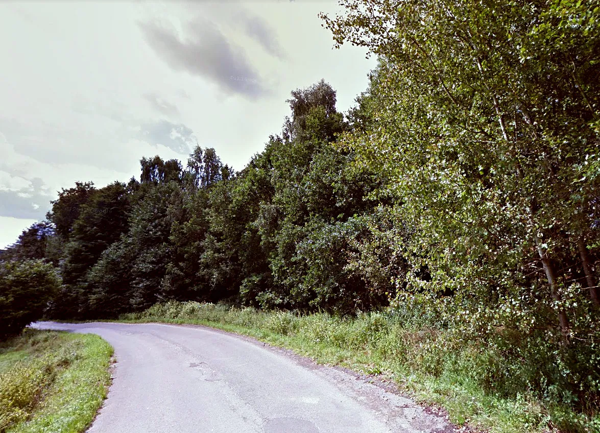 Prodej lesa 2000 m²