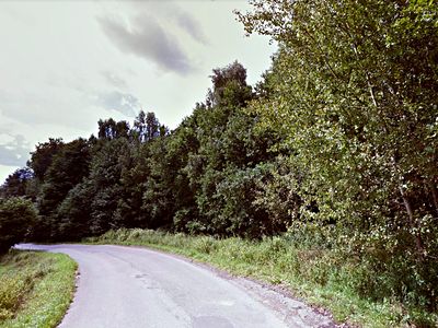 Prodej lesa 2000 m²