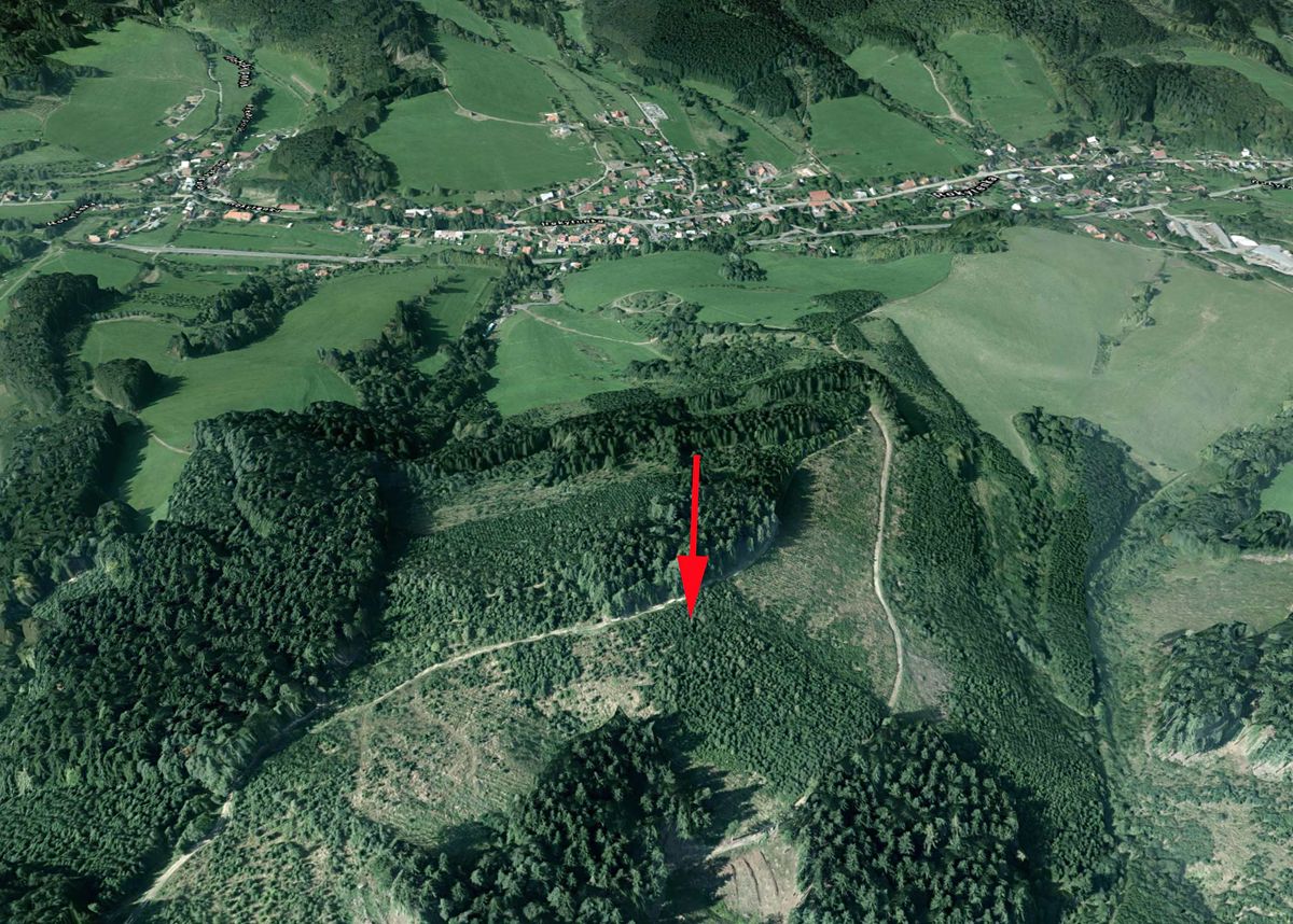 Prodej lesa 8758 m²