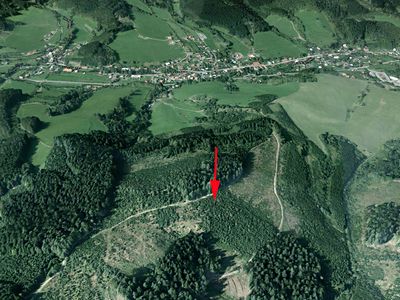 Prodej lesa 8758 m²