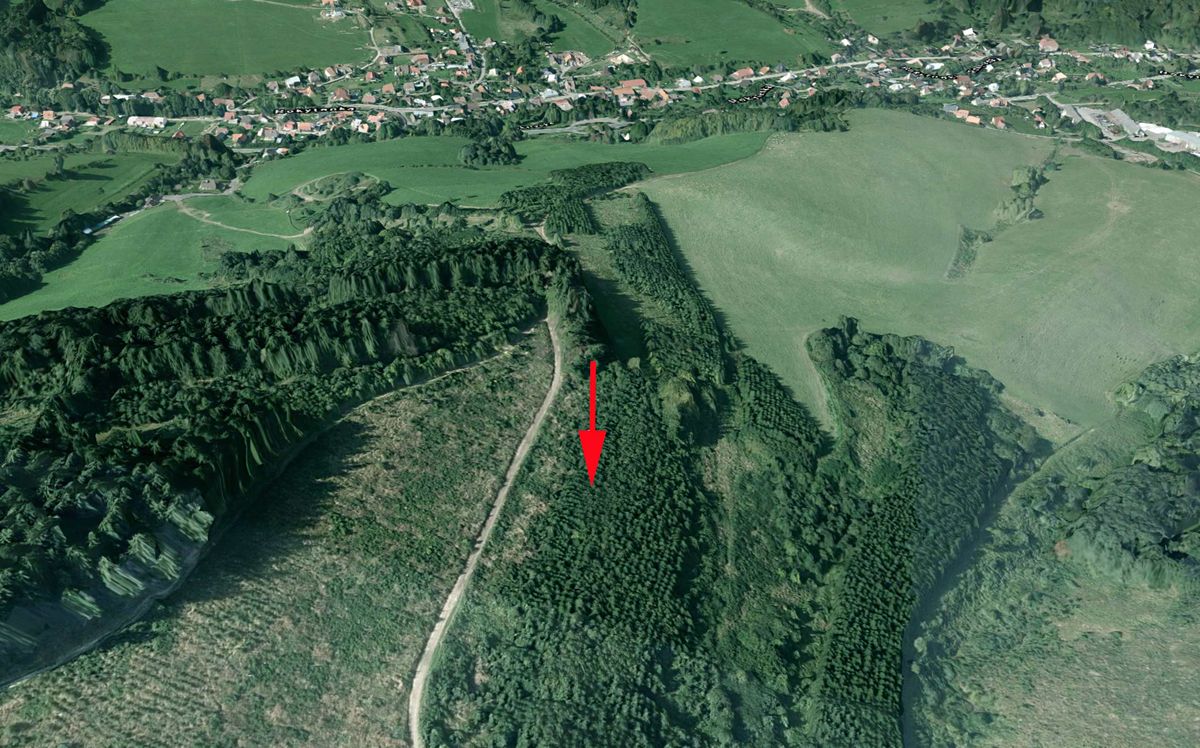 Prodej lesa 1591 m²