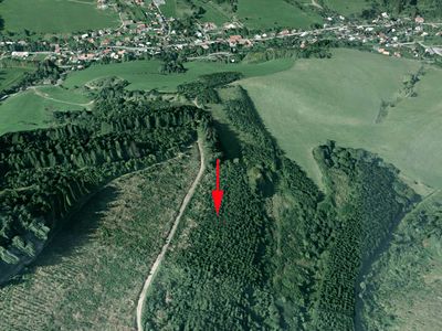Prodej lesa 1591 m²