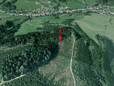 Prodej lesa 5445 m²