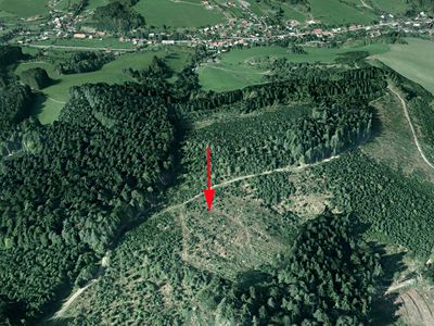 Prodej lesa 12578 m²