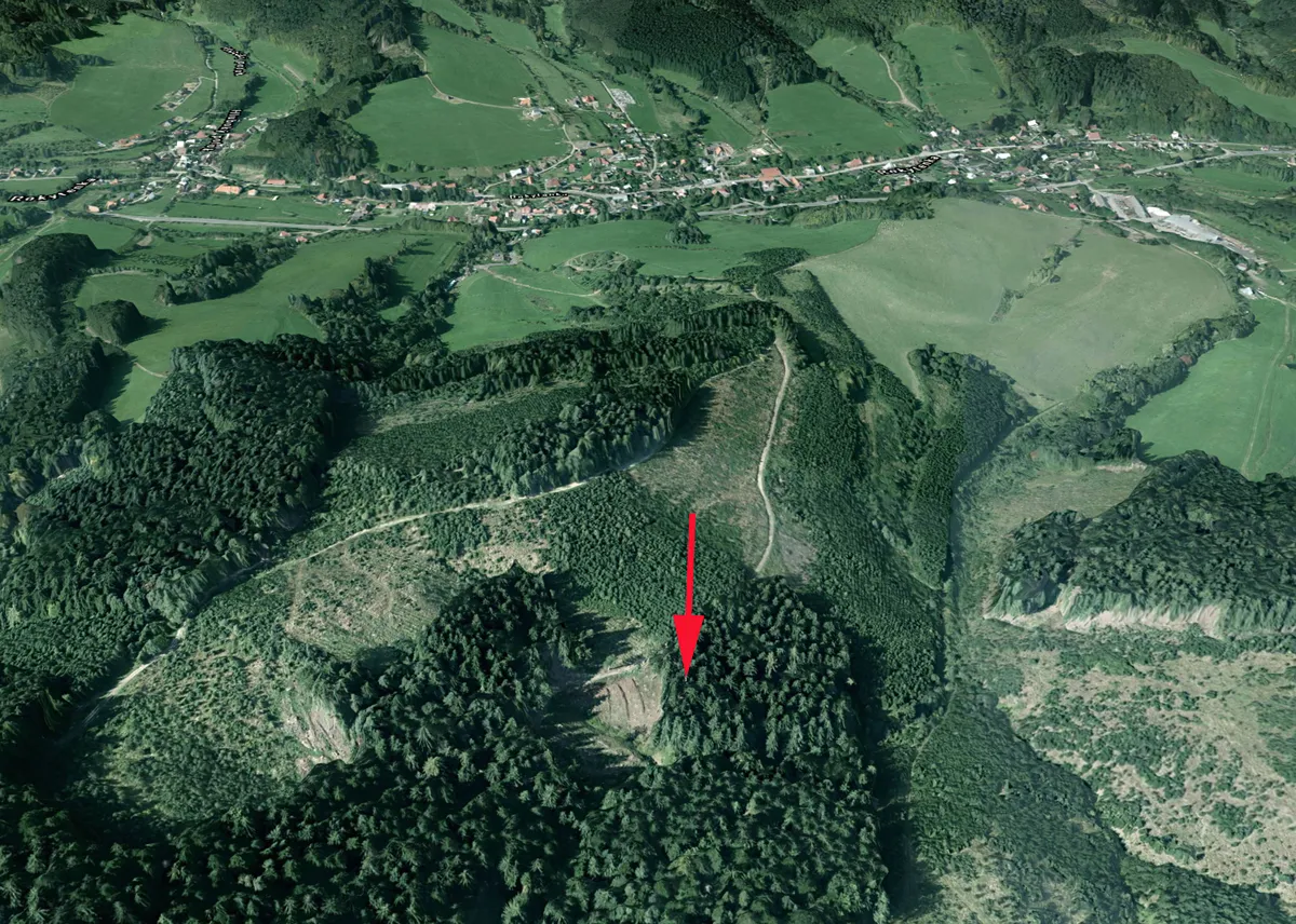 Prodej lesa 7226 m²