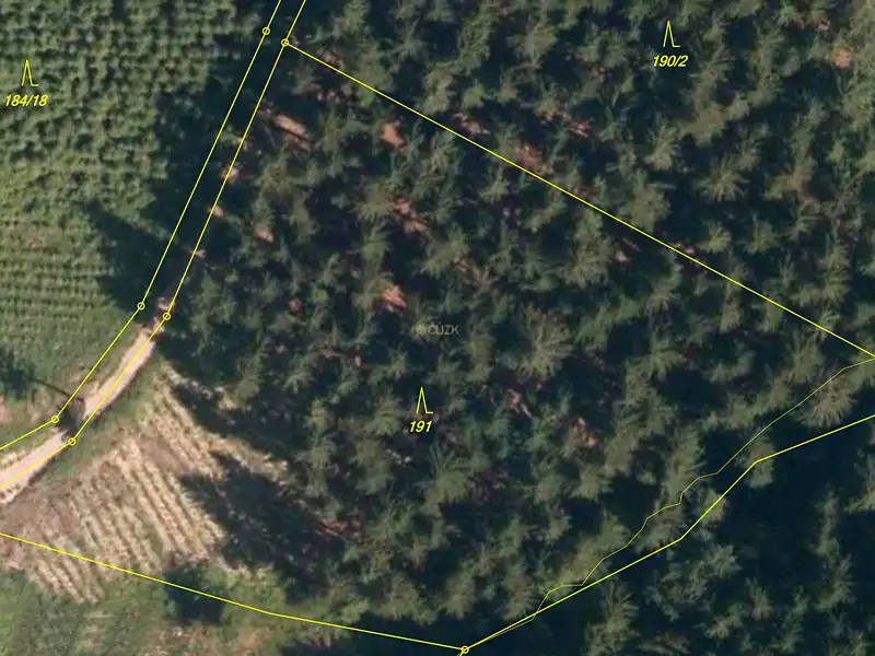 Prodej lesa 7226 m², Lhota u Vsetína – náhled fotky 2