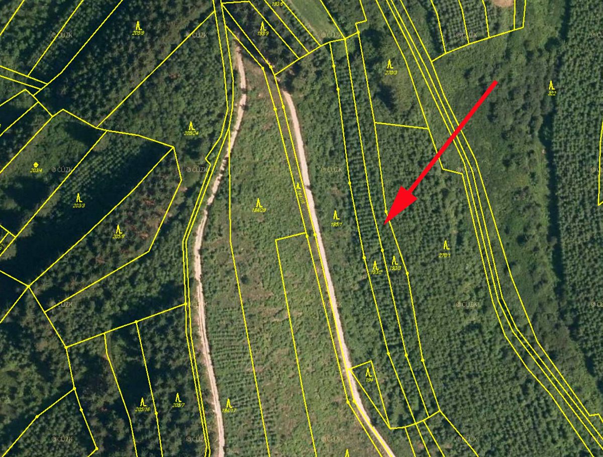 Prodej lesa 1591 m² – fotografie 2