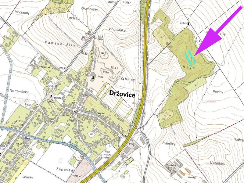 Prodej lesa 4332 m², Držovice – náhled fotky 3