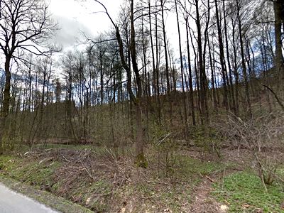 Prodej lesa 3735 m²