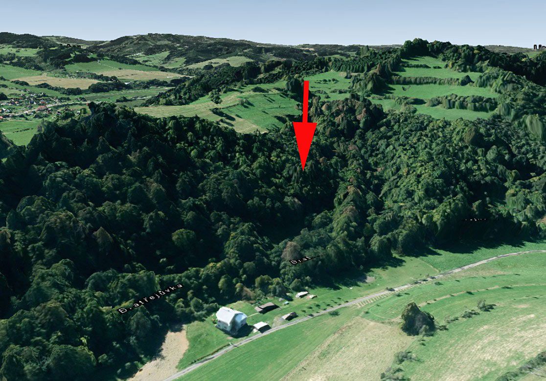 Prodej lesa 13656 m²