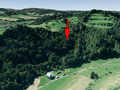 Prodej lesa 13656 m²