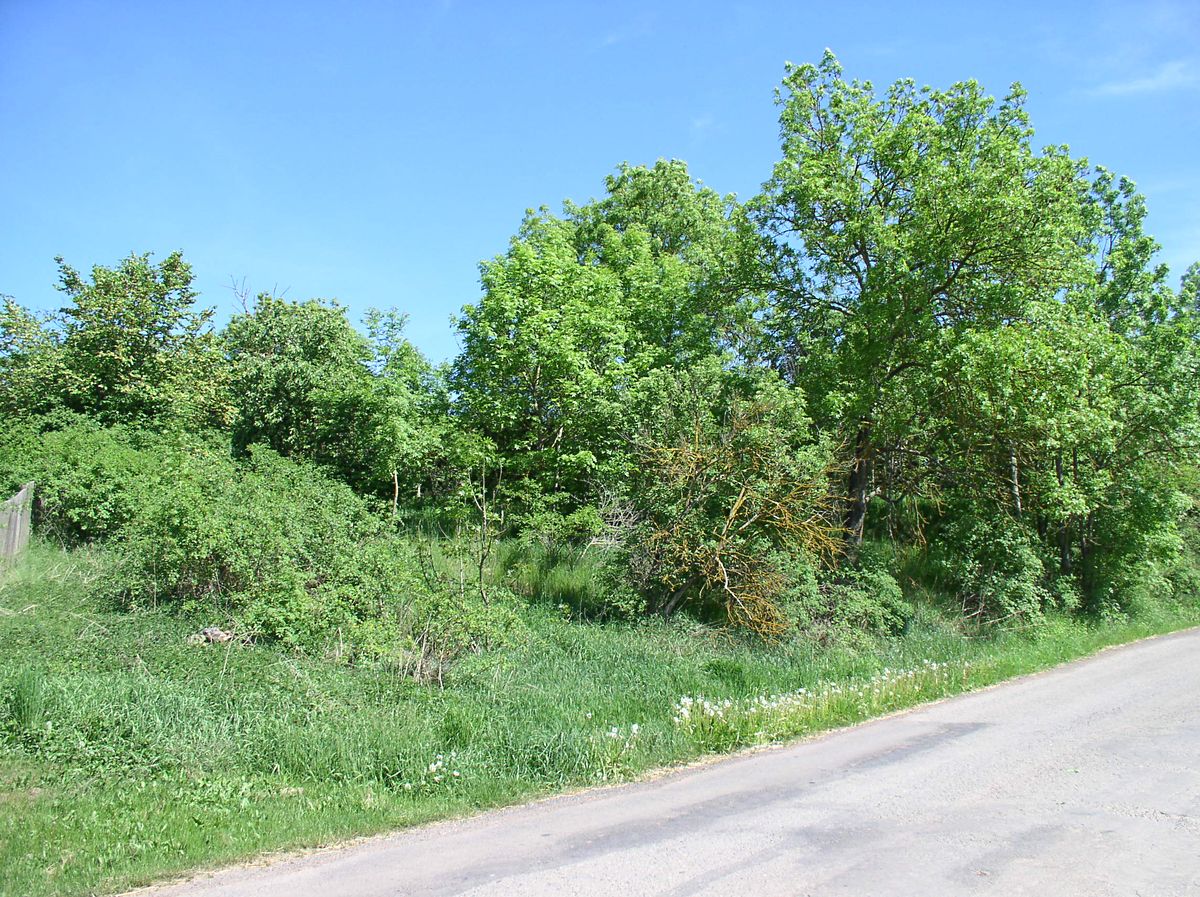 Prodej stavebního pozemku 945 m², Pšov – fotka 1 z 3