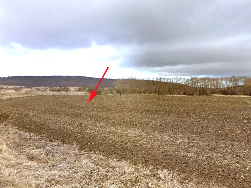 Prodej pole 8153 m², Mašťov – náhled fotky 2