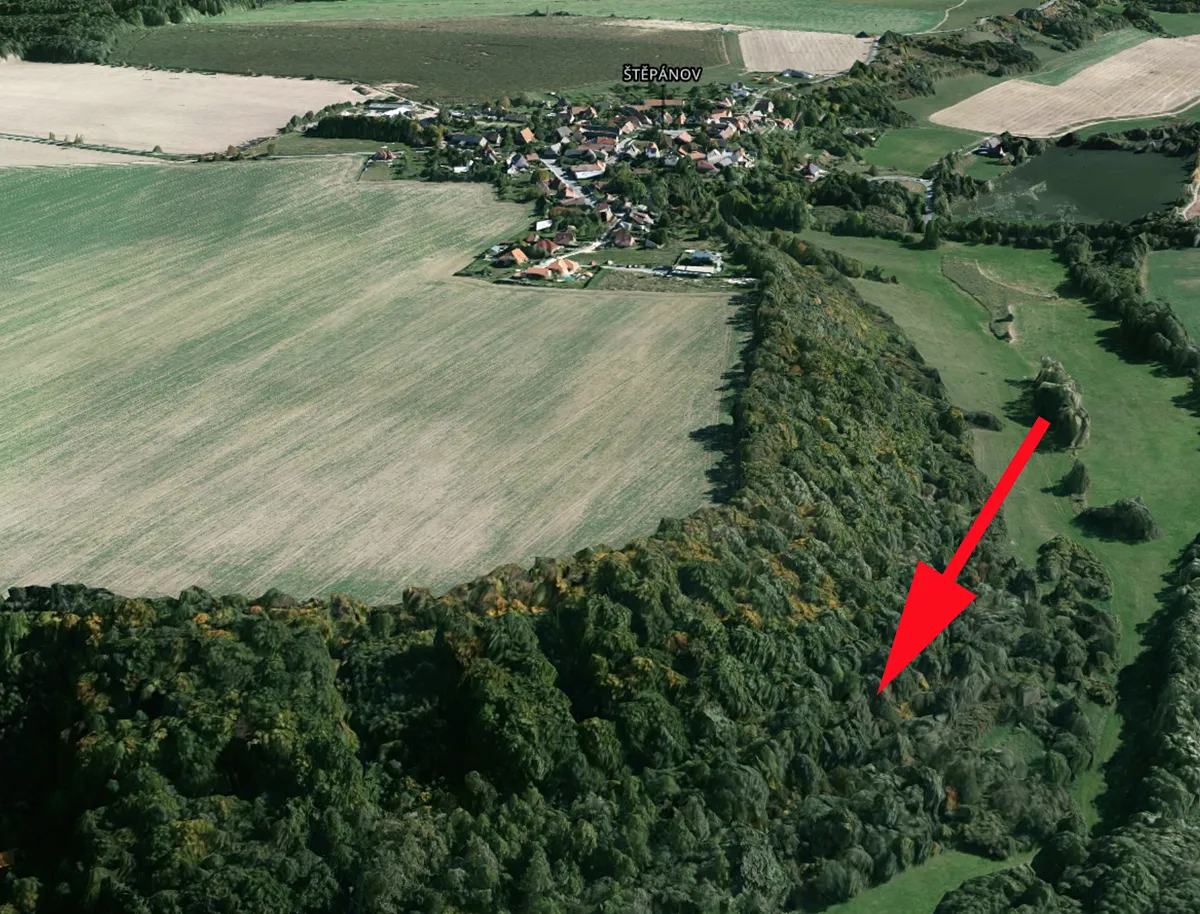 Prodej lesa 14689 m²