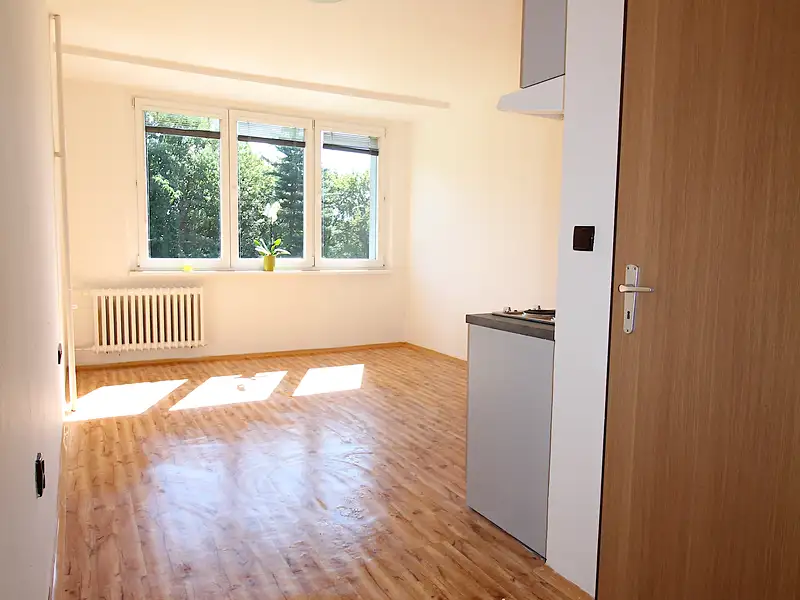 Pronájem bytu 1+kk 22 m², Ostrava – náhled fotky 2
