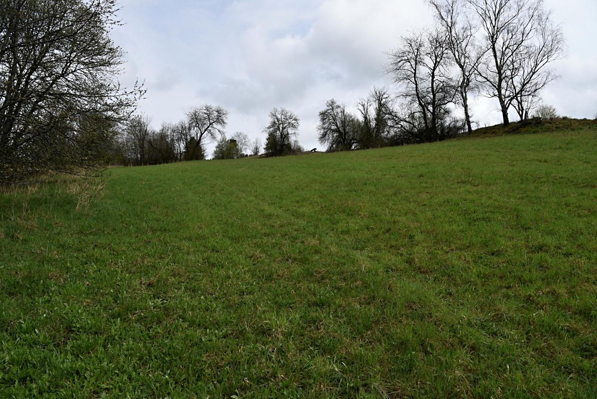 Prodej stavebního pozemku 2155 m² – fotografie 3